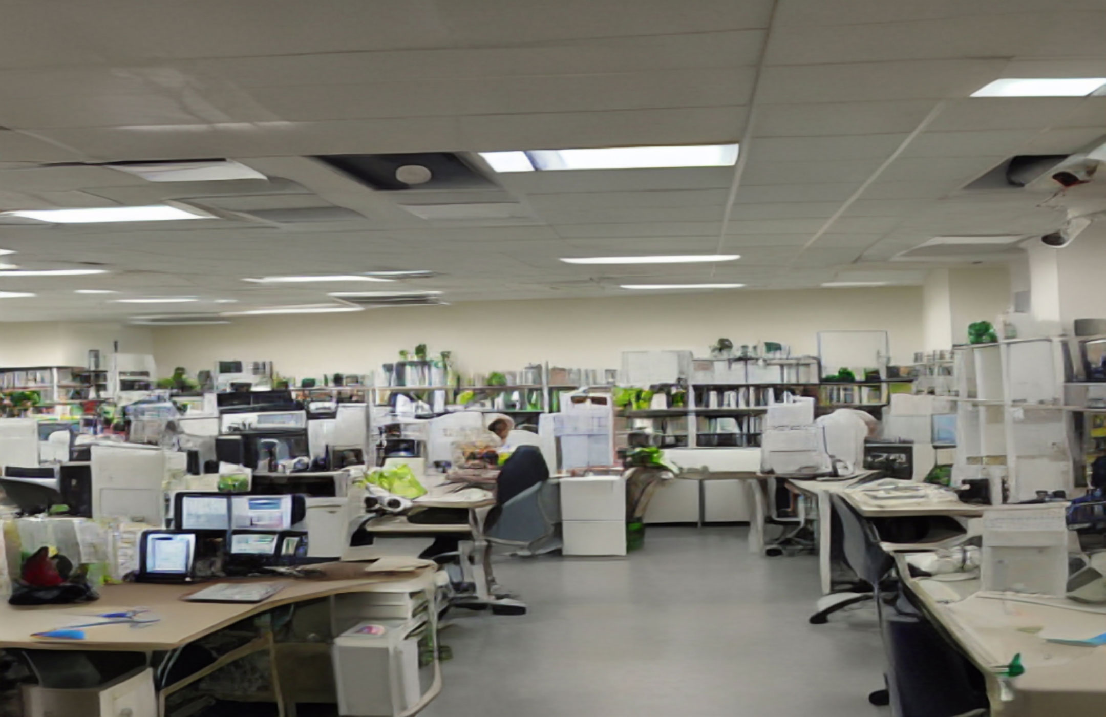 Day Three Botanicals Newsroom